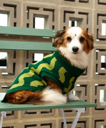 Saco tejido para mascota Ref. Sandia
